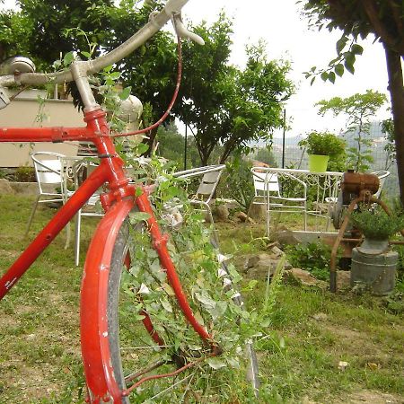 La Dolce Vita B&B Noli Zewnętrze zdjęcie